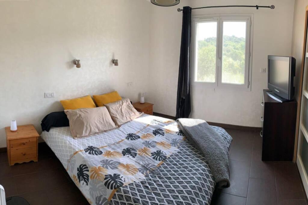 Maison Spacieuse Et Calme Pres De La Cite Villa Alairac Eksteriør billede